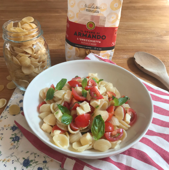 ORECCHIETTE with FRESH CHERRY TOMATOES, SCAMORZA AND BASIL