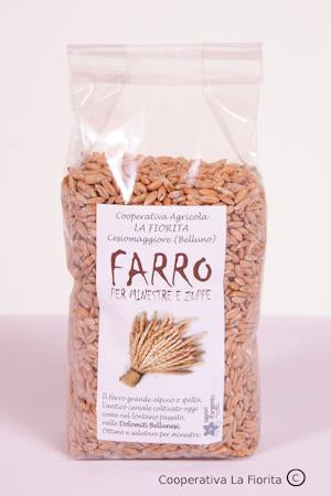 Farro Grande Alpino - Large Alpine Spelt