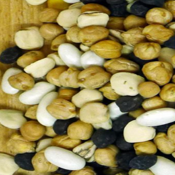 Legumes Mix - Legumi Misti